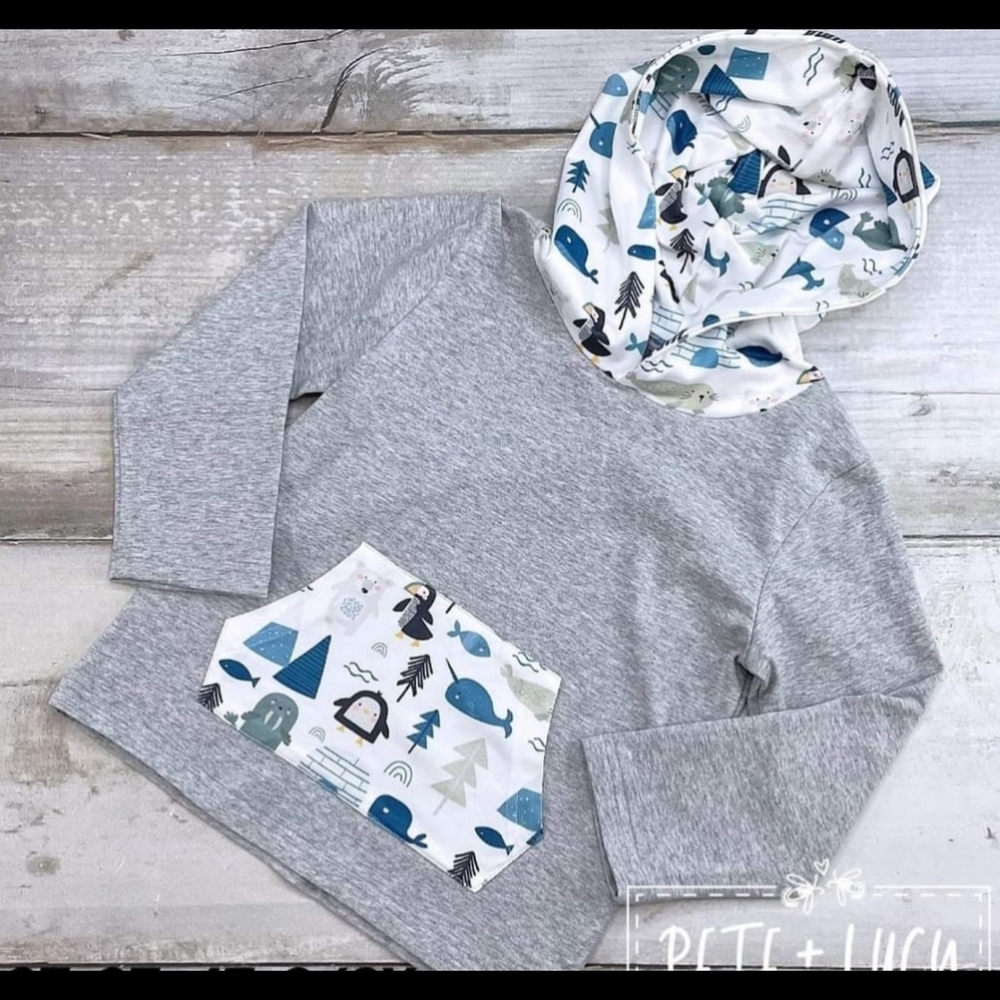 Artic Friends 4t Thin Hoodie